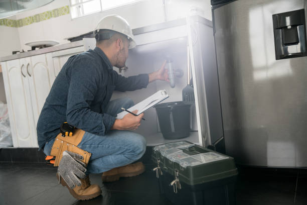 Best Plumbing Services Near Me  in Nashvle, IL